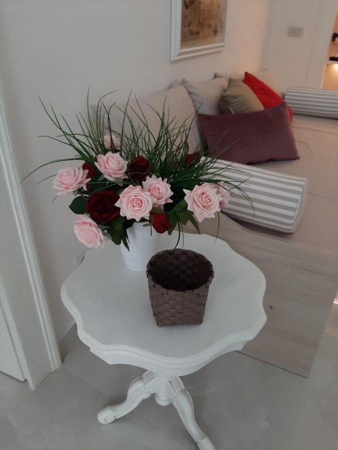 La Vie En Rose - Casa Vacanze Diamante Ngoại thất bức ảnh