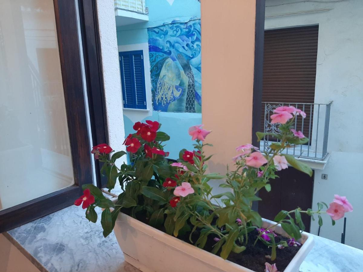 La Vie En Rose - Casa Vacanze Diamante Ngoại thất bức ảnh